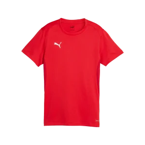 Puma teamGOAL Jersey Dam